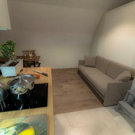 Apartment By The Roof *