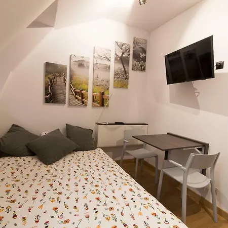 Apartment By The Roof *